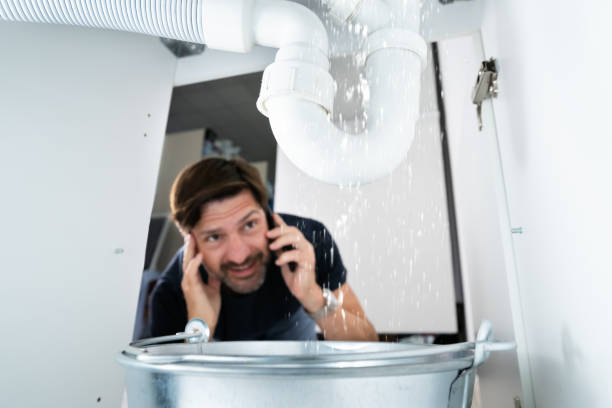 Best Local Plumber Services  in Chisholm, MN