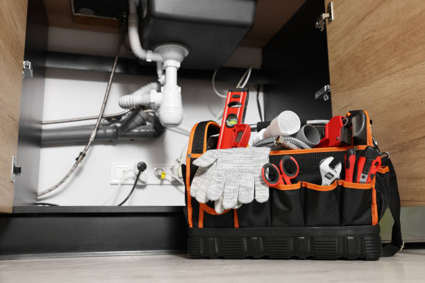 Best Septic Systems  in Chisholm, MN